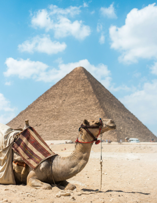Egipto