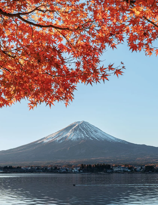 Japón